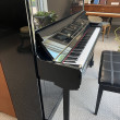 1999 Pearl River (by Yamaha) professional upright - Upright - Professional Pianos